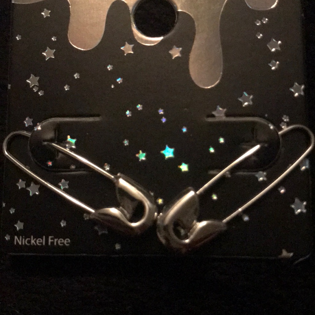Silver Clothespin Earrings 15$